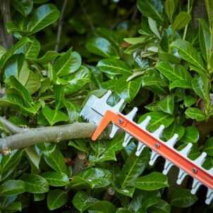 BCHTS3620L1 Hedge Trimmer with SAWBLADE™ 55cm 36V 1 x 2.0Ah Li-ion - Image 3