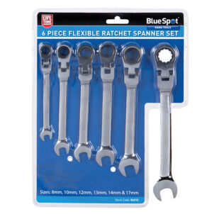Flexible Head Ratchet Set, 6 Piece