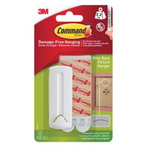 Wire-Backed Picture Hanger