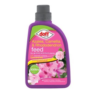 Azalia, Camellia, Rhododendron Feed Concentrate 1 litre