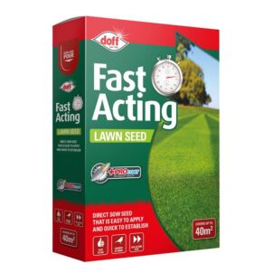 Fast Growing Lawn Seed 500g