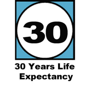 Everflex® 335 Construction Silicone Transparent 295ml - Image 4