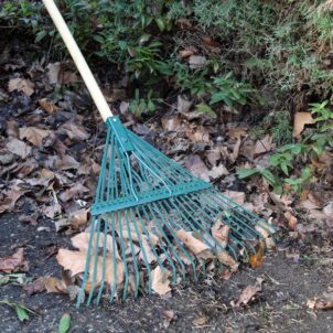 Countryman Leaf Rake 22 Flat Tines - Image 2