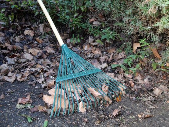 Countryman Leaf Rake 22 Flat Tines - Image 2