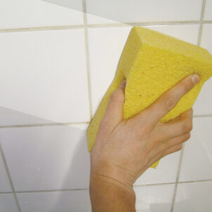 Cellulose Sponge