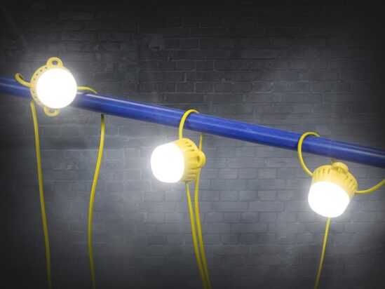 Festoon Lights 10 LED Bulbs 110V 22m - Image 2
