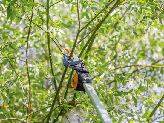 PowerGear™ Tree Pruner - Image 4