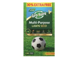 Grass Feed & Seed