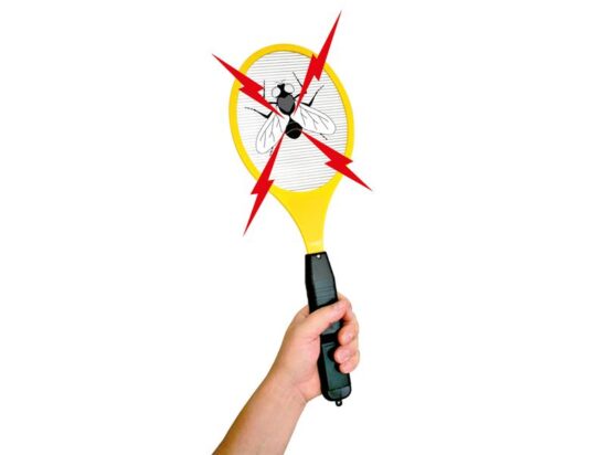 Electronic Fly & Mosquito Eliminator