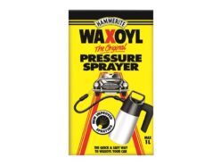 Automotive Paint & Protectant