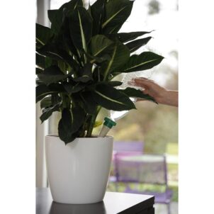 2717 Green Aquasolo Watering Cone for Medium 16in Pots (Pack 4) - Image 5