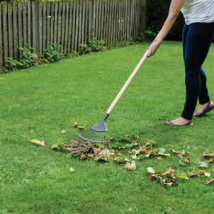 Carbon Steel Lawn & Leaf Rake, FSC® - Image 2