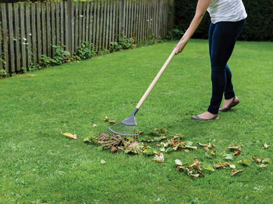 Carbon Steel Lawn & Leaf Rake, FSC® - Image 2