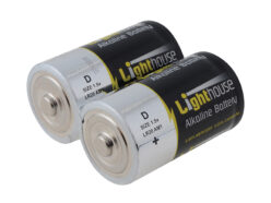 D LR20 Alkaline Batteries 14800 mAh (Pack 2)