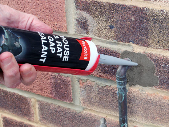 Mouse & Rat Gap Sealant - Image 2