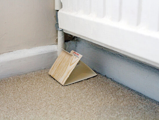 Spider & Crawling Insect Trap - Image 2