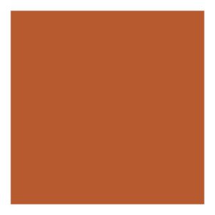 Direct to Metal Paint Copper Satin 250ml