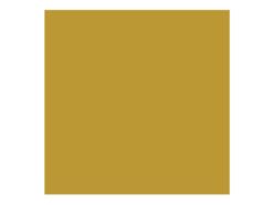 Direct to Metal Paint Gold Satin 250ml