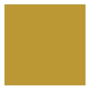 Direct to Metal Paint Gold Satin 250ml