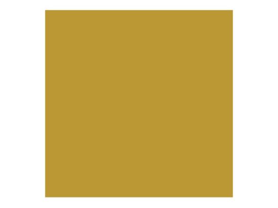 Direct to Metal Paint Gold Satin 250ml