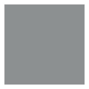 Direct to Metal Paint Silver Satin 250ml