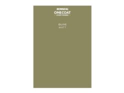 Interior Paints
