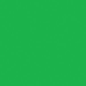 Duck Tape® 48mm x 13.7m Neon Green - Image 3