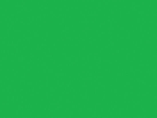 Duck Tape® 48mm x 13.7m Neon Green - Image 3