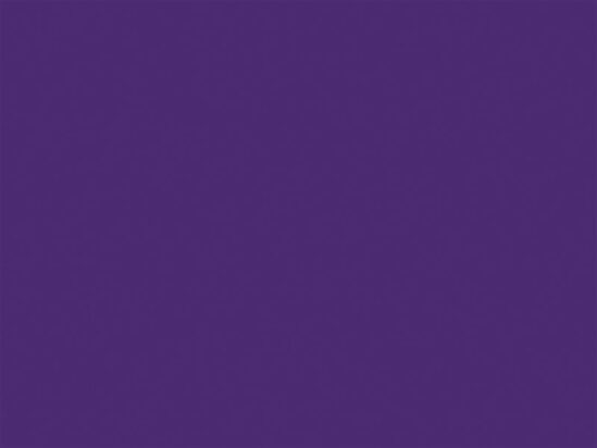 Duck Tape® 48mm x 18.2m Purple