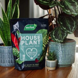Houseplant Potting Mix 4 litre