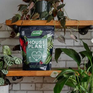 Houseplant Potting Mix 4 litre - Image 2