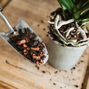 Orchid Potting Mix 4 litre