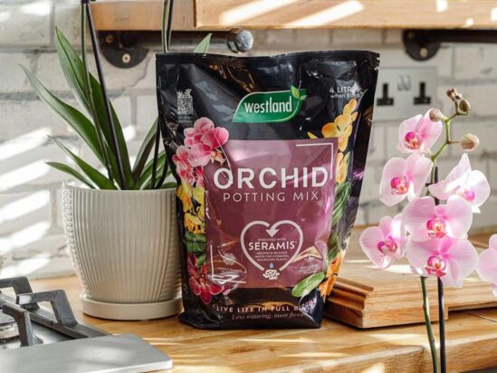Orchid Potting Mix 4 litre - Image 2
