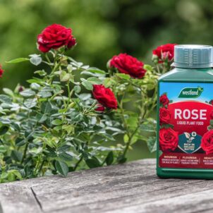 Rose High Performance Liquid Plant Food 1 litre