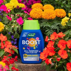 Boost All Purpose Liquid Plant Feed 1 litre - Image 2