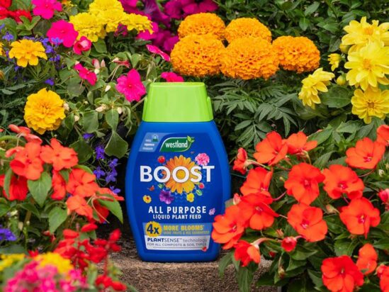Boost All Purpose Liquid Plant Feed 1 litre - Image 2