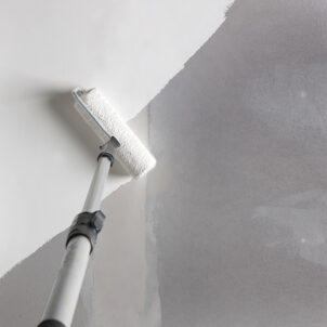 Ceiling Pro 5-in-1 2.5 litre