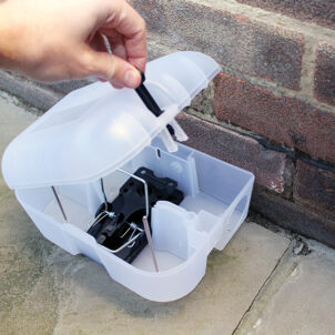 Enclosed Rat Trap Lockable Box - Image 7